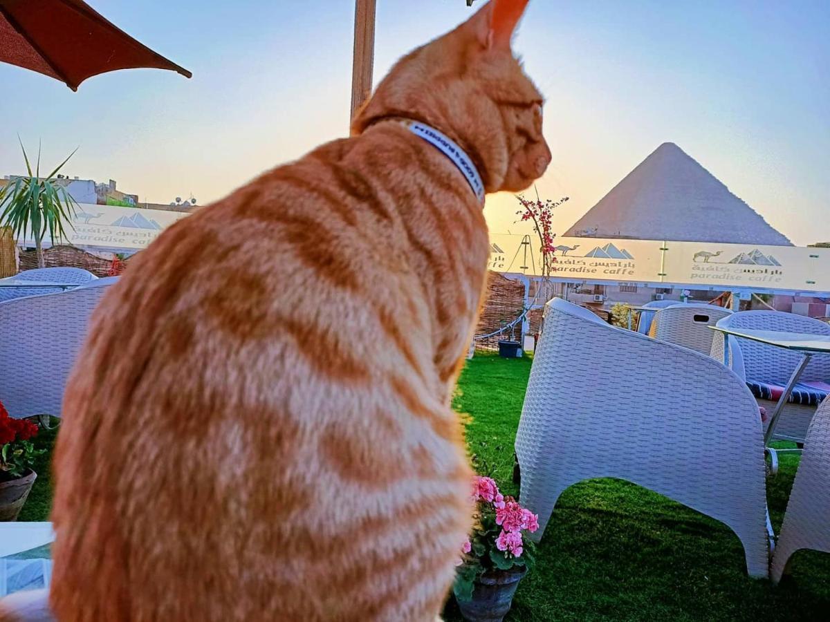 מלון Kafret el-Gabal Carpet Alaadein Pyramids View מראה חיצוני תמונה